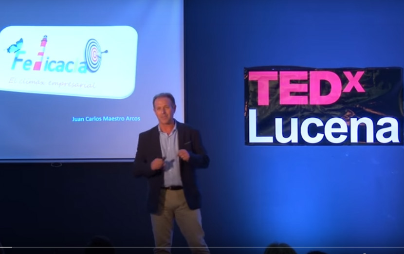 TED x Lucena; Video sobre la Felicacia; El clímax empresarial